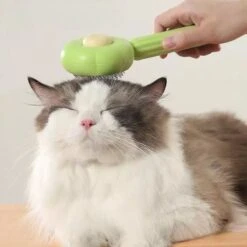 QT Petshop - Haarverwijderaar Voor Huisdieren - Groene Kattenborstel - Furminator Hondenborstel - Anti-Klit - Diervriendelijk - Dierenverzorging -Hondenserie Winkel 1200x1200 948