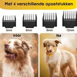 AVE Pets® Volledige Hondentondeuse Set Met Display - Draadloos Tondeuse - Scheerapparaat Voor Je Hond Of Kat - Huisdier Trimmer - Dierentondeuse - Dieren Verzorging 15 AVE Pets® Volledige Hondentondeuse Set Met Display - Draadloos Tondeuse - Scheerapparaat Voor Je Hond Of Kat - Huisdier Trimmer - Dierentondeuse - Dieren Verzorging -Hondenserie Winkel 1200x1200 983