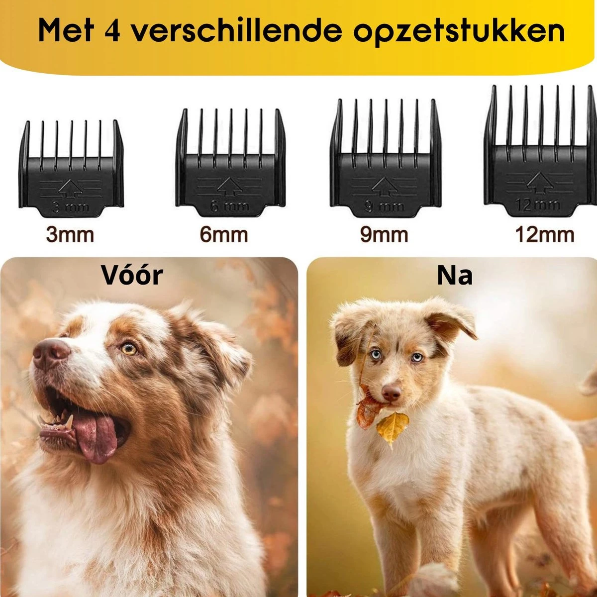 AVE Pets® Volledige Hondentondeuse Set Met Display - Draadloos Tondeuse - Scheerapparaat Voor Je Hond Of Kat - Huisdier Trimmer - Dierentondeuse - Dieren Verzorging 7 AVE Pets® Volledige Hondentondeuse Set Met Display - Draadloos Tondeuse - Scheerapparaat Voor Je Hond Of Kat - Huisdier Trimmer - Dierentondeuse - Dieren Verzorging - Afbeelding 5