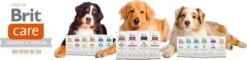 Brit Care Grain Free Puppy Salmon & Potato 12 Kg - Hond 8 Brit Care Grain Free Puppy Salmon & Potato 12 Kg - Hond -Hondenserie Winkel 1200x290