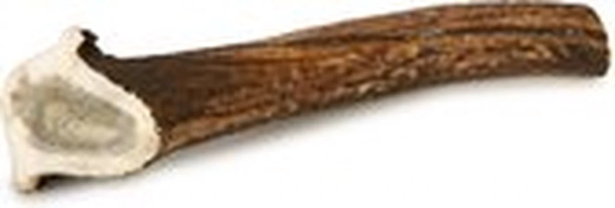 Topdiervoeding Hertengewei Voor Honden - Maat L - 200-250 Gram 3 Topdiervoeding Hertengewei Voor Honden - Maat L - 200-250 Gram