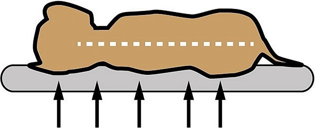 Sun Garden Buddy Orthopedisch Hondenkussen 120x72x10cm Antraciet 5 Sun Garden Buddy Orthopedisch Hondenkussen 120x72x10cm Antraciet - Afbeelding 3