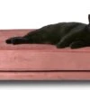 Maxxpro Katten- En Hondenbank - Roze - Verhoogd Met Houten Poten - Fluweel Materiaal - 90 X 44 X 34 CM - Huisdieren Tot 80 KG 2 Maxxpro Katten- En Hondenbank - Roze - Verhoogd Met Houten Poten - Fluweel Materiaal - 90 X 44 X 34 CM - Huisdieren Tot 80 KG -Hondenserie Winkel 1200x585 1