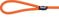 Rebel Petz - Sterke Gevlochten Hondenlijn Van Touw - Kleur: Oranje, Maat: Large 29 Rebel Petz - Sterke Gevlochten Hondenlijn Van Touw - Kleur: Oranje, Maat: Large -Hondenserie Winkel 1200x585 2