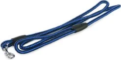 Merkloos Slipriem - Nylon - Riem Voor Hond - Blauw -Hondenserie Winkel 1200x596
