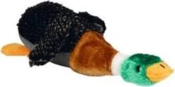 Beeztees Eend - Hondenspeelgoed - Pluche - 36x25,5x9 Cm 7 Beeztees Eend - Hondenspeelgoed - Pluche - 36x25,5x9 Cm -Hondenserie Winkel 1200x597