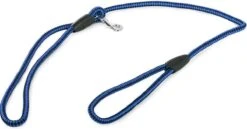 Merkloos Slipriem - Nylon - Riem Voor Hond - Blauw -Hondenserie Winkel 1200x629