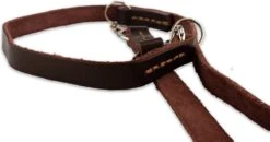 Multifunctionele Hondenriem - 220cm - Bruin - Leren Hondenriem - 100% Volnerfleer - Hondenriem Leer - Leiband Hond -Hondenserie Winkel 1200x631 2