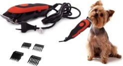 HTC Professionele Hondentondeuse - Haartrimmer Voor Honden En Katten - Krachtige Motor - Werkt Op 220V - Katten Tondeuses - Katten & Honden Trimset - Hondentrimmer - Dierentondeuse - Weinig Decibel- Met Opbergkoffer 12 HTC Professionele Hondentondeuse - Haartrimmer Voor Honden En Katten - Krachtige Motor - Werkt Op 220V - Katten Tondeuses - Katten & Honden Trimset - Hondentrimmer - Dierentondeuse - Weinig Decibel- Met Opbergkoffer -Hondenserie Winkel 1200x640 2