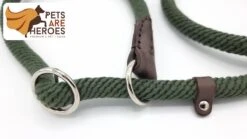 Sliplijn Met Stop - 1.2 Meter - Groen - Verstevigd - Roestvrij Staal - Verstelbaar - Hondenriem - Trainingslijn Voor Honden - Touw - Touwlijn - Lijn - Made In Portugal 7 Sliplijn Met Stop - 1.2 Meter - Groen - Verstevigd - Roestvrij Staal - Verstelbaar - Hondenriem - Trainingslijn Voor Honden - Touw - Touwlijn - Lijn - Made In Portugal -Hondenserie Winkel 1200x674 8