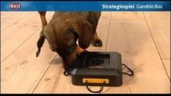 Trixie Dogtoy Dog Activity Strategy Game Gamble Box - Piepend Speelgoed - 15cm X 15cm X 9cm - Zwart/rood/oranje -Hondenserie Winkel 1200x675 2