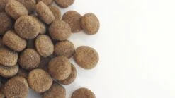 Carocroc Low Energy 22/8 - Hondenvoer - 15 Kg -Hondenserie Winkel 1200x675