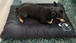 Hondenkussen XXXL -Donkergrijs - 85 X 120 X 14 17 Hondenkussen XXXL -Donkergrijs - 85 X 120 X 14 -Hondenserie Winkel 1200x685