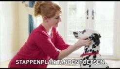 Beaphar Tandenborstel 12 Beaphar Tandenborstel -Hondenserie Winkel 1200x697 4