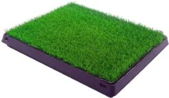 Merkloos Maoo Premium Hondentoilet - Geurbestendig & Hondvriendelijk Kunstgras - Uitneembare Opvangbak - Indoor En Outdoor - 63 X 50 Cm -Hondenserie Winkel 1200x698