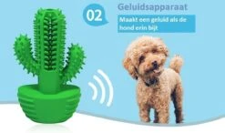 Tandenborstel + TANDPASTA Hond Melk Geur Smaak En Piep Honden Speelgoed - Cactus Dog Toy Tandverzorging Kauwbotten Hondenspeelgoed Hondenbot Kauwstaaf Tanden Puppy Hondenspeeltje Sterk Kauwspeelgoed - Dutchwide -Hondenserie Winkel 1200x707