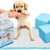 Mr. Poop Toodeloo -Puppy Pads - Training Pads - Maat S: 45 X 33cm - 30 Stuks -Hondenserie Winkel 1200x717 3