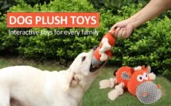 Merkloos Hondenknuffel - Interactief Piepspeelgoed Voor Honden - Teddy - Stoer Hondenkauwspeelgoed - Met Katoenen Materiaal En Gekreukt Papier - Hondenspeelgoed Voor Grote En Kleine Honden 14 Merkloos Hondenknuffel - Interactief Piepspeelgoed Voor Honden - Teddy - Stoer Hondenkauwspeelgoed - Met Katoenen Materiaal En Gekreukt Papier - Hondenspeelgoed Voor Grote En Kleine Honden -Hondenserie Winkel 1200x742