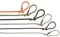 Rebel Petz - Honden Trainingslijn Met Halsband - Taupe, Zwart, Groen & Oranje - Maat Small Of Large - Kleur: Oranje, Maat: Large 28 Rebel Petz - Honden Trainingslijn Met Halsband - Taupe, Zwart, Groen & Oranje - Maat Small Of Large - Kleur: Oranje, Maat: Large -Hondenserie Winkel 1200x756 1