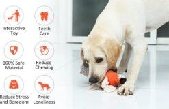 Merkloos Hondenknuffel - Interactief Piepspeelgoed Voor Honden - Teddy - Stoer Hondenkauwspeelgoed - Met Katoenen Materiaal En Gekreukt Papier - Hondenspeelgoed Voor Grote En Kleine Honden 17 Merkloos Hondenknuffel - Interactief Piepspeelgoed Voor Honden - Teddy - Stoer Hondenkauwspeelgoed - Met Katoenen Materiaal En Gekreukt Papier - Hondenspeelgoed Voor Grote En Kleine Honden -Hondenserie Winkel 1200x777