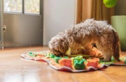 SNUFFIES® Snuffelmat Belle 60x50cm – Snuffelmat – Snuffelmatten - Honden Speelgoed - Honden Speelgoed Intelligentie - Snuffelmat Hond - Snuffelmatten – Hersenwerk – Honden Speeltjes – Puppy - Puppy Speelgoed - Honden Denkspelletjes 22 SNUFFIES® Snuffelmat Belle 60x50cm – Snuffelmat – Snuffelmatten - Honden Speelgoed - Honden Speelgoed Intelligentie - Snuffelmat Hond - Snuffelmatten – Hersenwerk – Honden Speeltjes – Puppy - Puppy Speelgoed - Honden Denkspelletjes -Hondenserie Winkel 1200x783