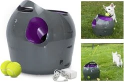 PetSafe Automatische Ballenwerper - Dierenspeelgoed -Hondenserie Winkel 1200x793 4