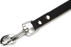 Beeztees Korthouder - Hondenriem - Leer - Bruin - 40x18 Cm -Hondenserie Winkel 1200x796 3