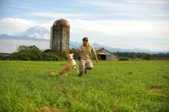 Benson Rode Honden Ballenwerper Met Ergonomische Handgreep – Inclusief Tennisbal – 38cm – Rood | Balwerper Voor Hond | Bal Werpen | Apporteer Speelgoed | Hondenspeelgoed -Hondenserie Winkel 1200x798 7