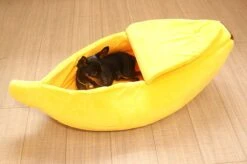 N/A Kattenhuis Banaan L - Hondenhuis Banaan L - 65x25x18 Cm - Kattenmand - Hondenmand - Dierenmand - Cadeau Kat 10 N/A Kattenhuis Banaan L - Hondenhuis Banaan L - 65x25x18 Cm - Kattenmand - Hondenmand - Dierenmand - Cadeau Kat -Hondenserie Winkel 1200x799 19