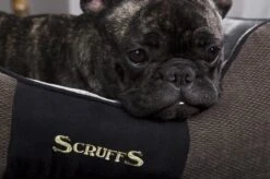 Hondenmand Zacht En Stevig, Anti-Slip En Wasbaar - Scruffs Chester Box Bed - In Grijs En Bruin In Maat S Tot XL - Kleur: Grijs, Maat: Medium 26 Hondenmand Zacht En Stevig, Anti-Slip En Wasbaar - Scruffs Chester Box Bed - In Grijs En Bruin In Maat S Tot XL - Kleur: Grijs, Maat: Medium -Hondenserie Winkel 1200x799 2