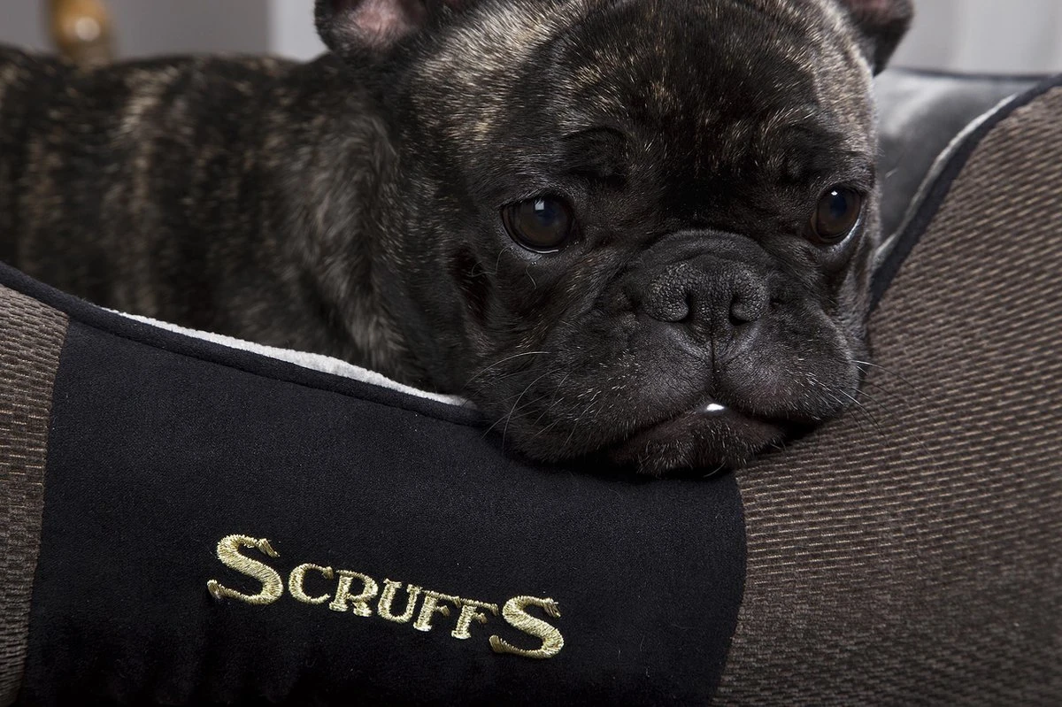 Hondenmand Zacht En Stevig, Anti-Slip En Wasbaar - Scruffs Chester Box Bed - In Grijs En Bruin In Maat S Tot XL - Kleur: Grijs, Maat: Medium 7 Hondenmand Zacht En Stevig, Anti-Slip En Wasbaar - Scruffs Chester Box Bed - In Grijs En Bruin In Maat S Tot XL - Kleur: Grijs, Maat: Medium - Afbeelding 5