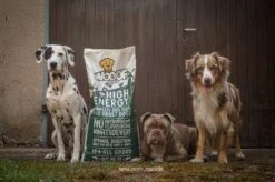 WOOOF High Energy 18KG - Geperst Hondenvoer - Geperste Hondenbrokken - Droogvoer 16 WOOOF High Energy 18KG - Geperst Hondenvoer - Geperste Hondenbrokken - Droogvoer -Hondenserie Winkel 1200x799 22