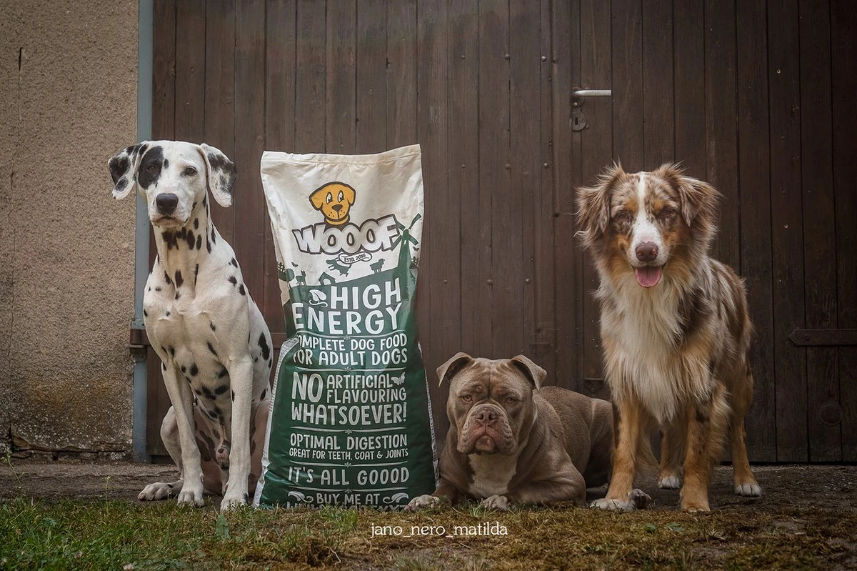 WOOOF High Energy 18KG - Geperst Hondenvoer - Geperste Hondenbrokken - Droogvoer 6 WOOOF High Energy 18KG - Geperst Hondenvoer - Geperste Hondenbrokken - Droogvoer - Afbeelding 4