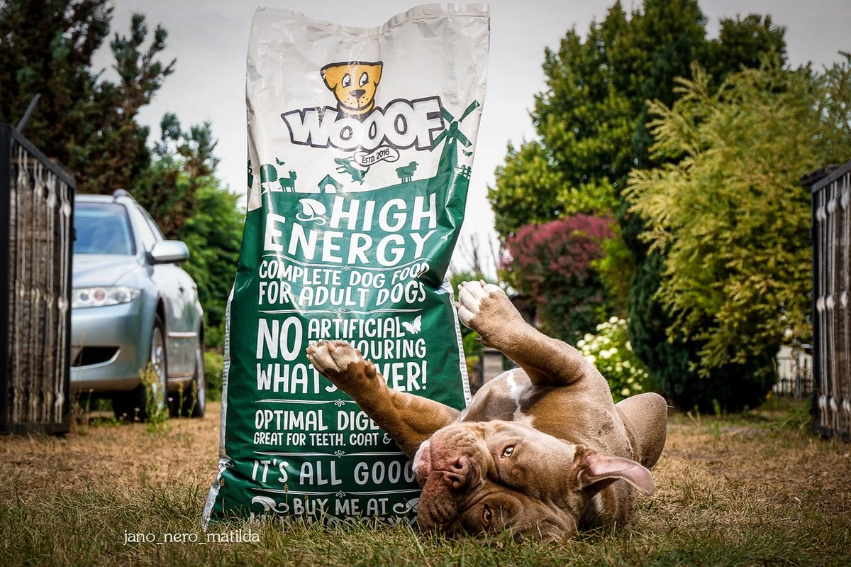 WOOOF High Energy 18KG - Geperst Hondenvoer - Geperste Hondenbrokken - Droogvoer 7 WOOOF High Energy 18KG - Geperst Hondenvoer - Geperste Hondenbrokken - Droogvoer - Afbeelding 5