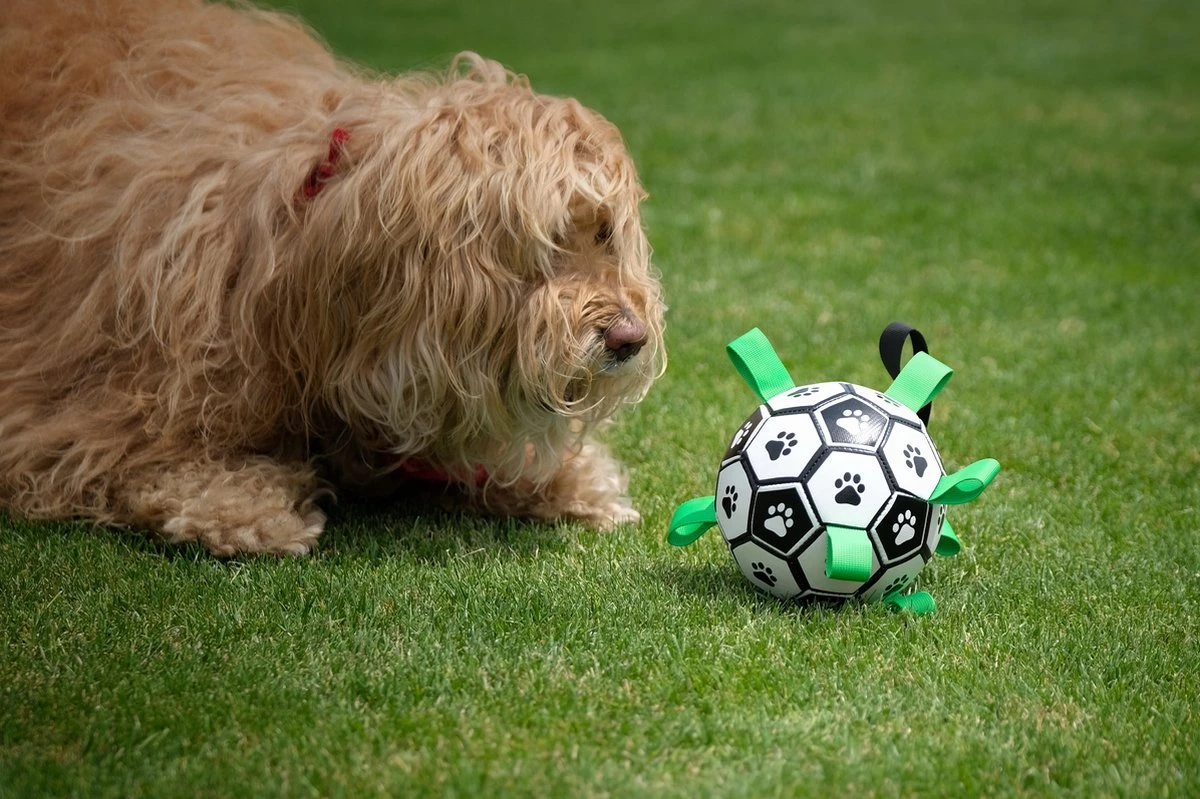 Honden Speelgoed Bal Voetbal Extra Sterk Met Handvaten Ball Hondenbal - 15 Cm - Dutchwide 14 Honden Speelgoed Bal Voetbal Extra Sterk Met Handvaten Ball Hondenbal - 15 Cm - Dutchwide - Afbeelding 12