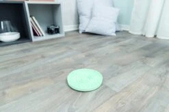 Trixie Junior Likplaat Mintgroen (15X15 CM) 23 Trixie Junior Likplaat Mintgroen (15X15 CM) -Hondenserie Winkel 1200x799 29