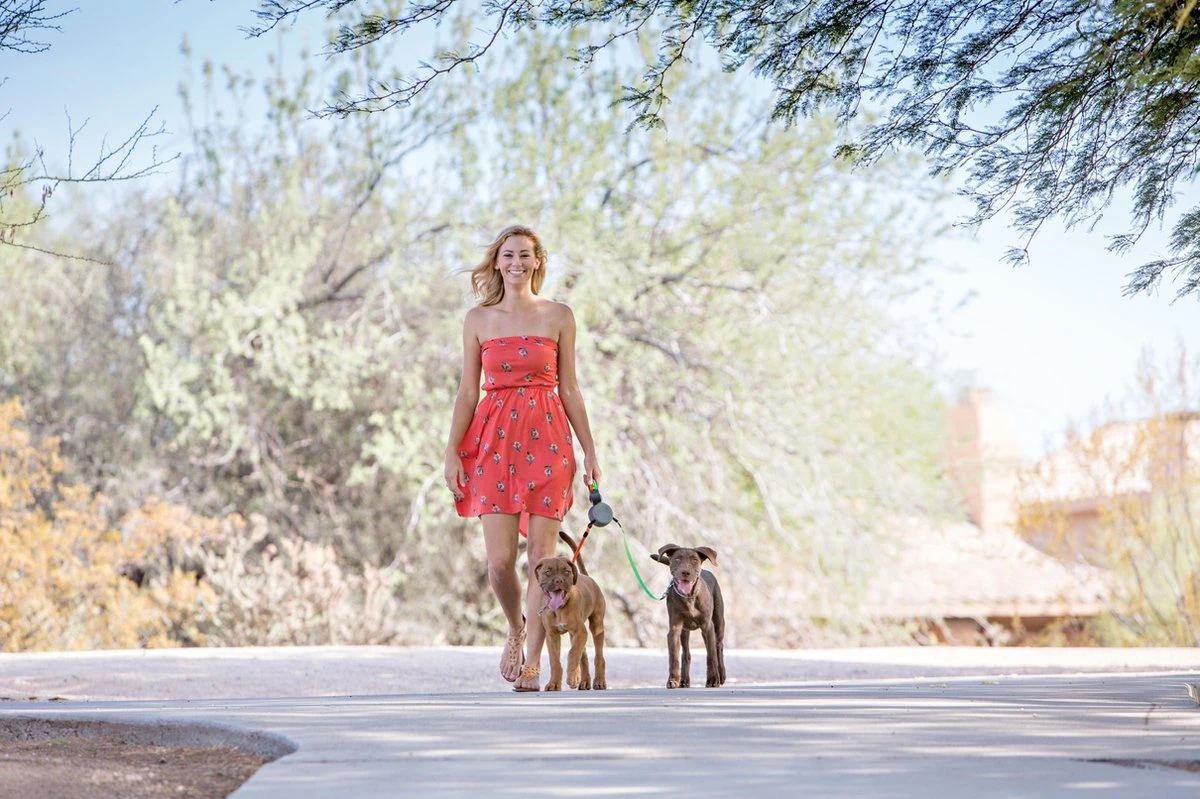 Wigzi Dual Doggie 2.0 Voor Twee Honden - Hondenriem - Grijs - 3m - <22 Kg (per Hond) 6 Wigzi Dual Doggie 2.0 Voor Twee Honden - Hondenriem - Grijs - 3m - <22 Kg (per Hond) - Afbeelding 4