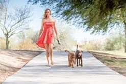 Wigzi Dual Doggie 2.0 Voor Twee Honden - Hondenriem - Grijs - 3m - <22 Kg (per Hond) 16 Wigzi Dual Doggie 2.0 Voor Twee Honden - Hondenriem - Grijs - 3m - <22 Kg (per Hond) -Hondenserie Winkel 1200x799 53