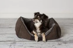 Hondenmand Zacht En Stevig, Anti-Slip En Wasbaar - Scruffs Chester Box Bed - In Grijs En Bruin In Maat S Tot XL - Kleur: Grijs, Maat: Extra Large 28 Hondenmand Zacht En Stevig, Anti-Slip En Wasbaar - Scruffs Chester Box Bed - In Grijs En Bruin In Maat S Tot XL - Kleur: Grijs, Maat: Extra Large -Hondenserie Winkel 1200x800 11