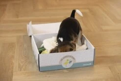 Merkloos Beeztees Puppy Cadeaupakket - Puppy Pakket - Leuke Box Met Puppy Speelgoed En Snacks 12 Merkloos Beeztees Puppy Cadeaupakket - Puppy Pakket - Leuke Box Met Puppy Speelgoed En Snacks -Hondenserie Winkel 1200x800 121