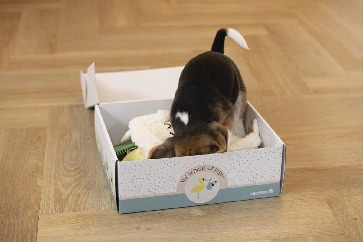 Merkloos Beeztees Puppy Cadeaupakket - Puppy Pakket - Leuke Box Met Puppy Speelgoed En Snacks 7 Merkloos Beeztees Puppy Cadeaupakket - Puppy Pakket - Leuke Box Met Puppy Speelgoed En Snacks - Afbeelding 5