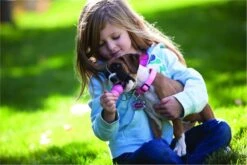 Kong Puppy - Hondenspeelgoed - Assorti - M 41 Kong Puppy - Hondenspeelgoed - Assorti - M -Hondenserie Winkel 1200x800 134