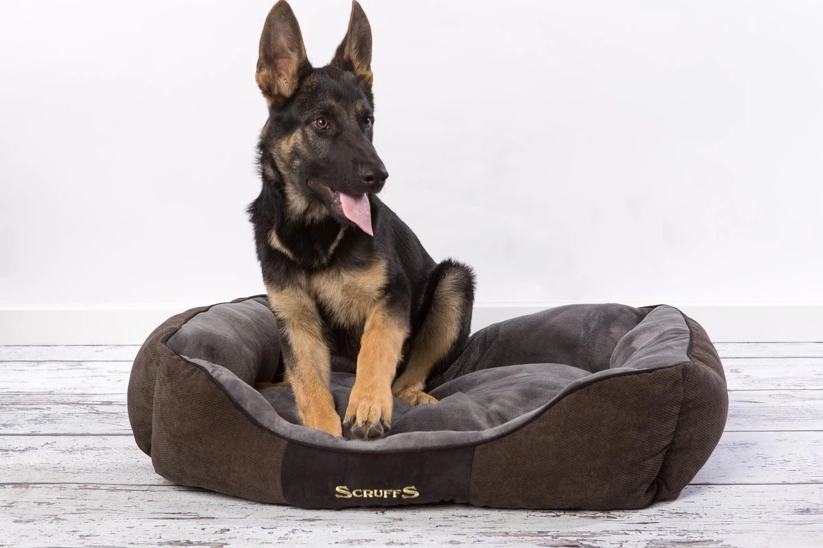 Hondenmand Zacht En Stevig, Anti-Slip En Wasbaar - Scruffs Chester Box Bed - In Grijs En Bruin In Maat S Tot XL - Kleur: Grijs, Maat: Extra Large 20 Hondenmand Zacht En Stevig, Anti-Slip En Wasbaar - Scruffs Chester Box Bed - In Grijs En Bruin In Maat S Tot XL - Kleur: Grijs, Maat: Extra Large - Afbeelding 18