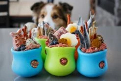 West Paw Toppl Zogoflex - Uitdagend En Sterk Speelgoed Voor Honden - Slowfeeder - Vulbaar Met Voer Of Snacks - Kleur: Groen, Maat: Large 25 West Paw Toppl Zogoflex - Uitdagend En Sterk Speelgoed Voor Honden - Slowfeeder - Vulbaar Met Voer Of Snacks - Kleur: Groen, Maat: Large -Hondenserie Winkel 1200x800 151