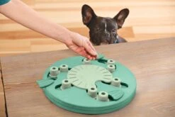 Nina Ottosson Dog Worker Composiet 34,5x34,5x5 Cm -Hondenserie Winkel 1200x800 171