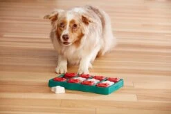 Nina Ottosson - Hondenspel - Dog Brick -Hondenserie Winkel 1200x800 173