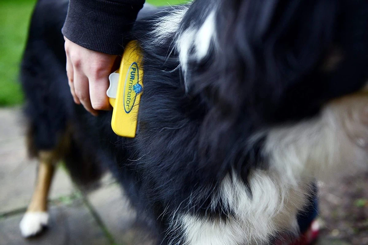 Furminator® Hond Langhaar - Vermindert Haaruitval Tot 90% - Hondenborstel - L 6 Furminator® Hond Langhaar - Vermindert Haaruitval Tot 90% - Hondenborstel - L - Afbeelding 4