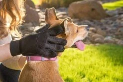 Merkloos Vachtverzorgingshandschoen 38 Merkloos Vachtverzorgingshandschoen -Hondenserie Winkel 1200x800 189