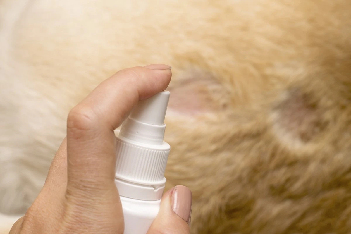 Petoxil Pet Spray Met Colloïdaal Zilver Is Speciaal Ontworpen Voor Gebruik Op Alle (huis) Dierensoorten. Revolutionair In Hygiëne 6 Petoxil Pet Spray Met Colloïdaal Zilver Is Speciaal Ontworpen Voor Gebruik Op Alle (huis) Dierensoorten. Revolutionair In Hygiëne - Afbeelding 4