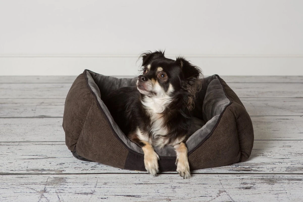 Hondenmand Zacht En Stevig, Anti-Slip En Wasbaar - Scruffs Chester Box Bed - In Grijs En Bruin In Maat S Tot XL - Kleur: Grijs, Maat: Medium 8 Hondenmand Zacht En Stevig, Anti-Slip En Wasbaar - Scruffs Chester Box Bed - In Grijs En Bruin In Maat S Tot XL - Kleur: Grijs, Maat: Medium - Afbeelding 6
